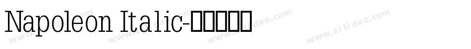 Napoleon Italic字体转换